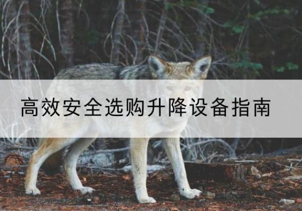 伊犁升降货梯厂家推荐-*安全选购升降设备指南