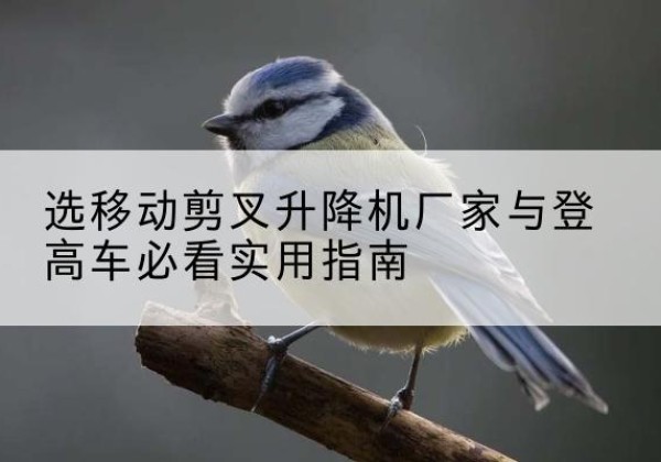 伊犁电动升降机厂家-选移动剪叉升降机厂家与登高车必看实用指南